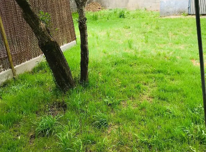 Casa Chorima Nyaraló