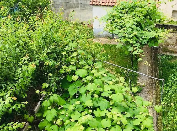 Nyaraló Casa Chorima